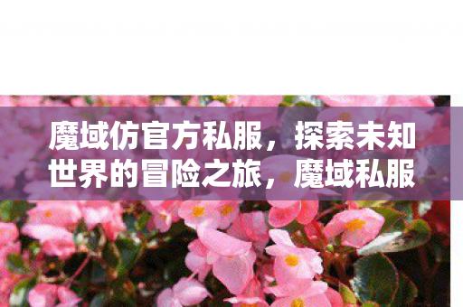 探索未知世界的冒险之旅图片