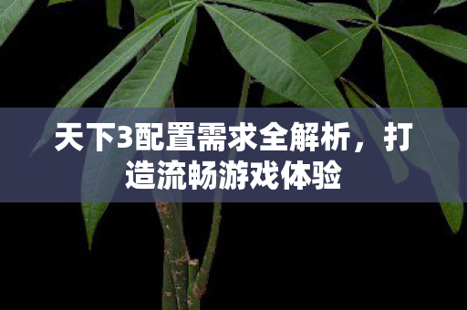 天下3配置需求全解析图片