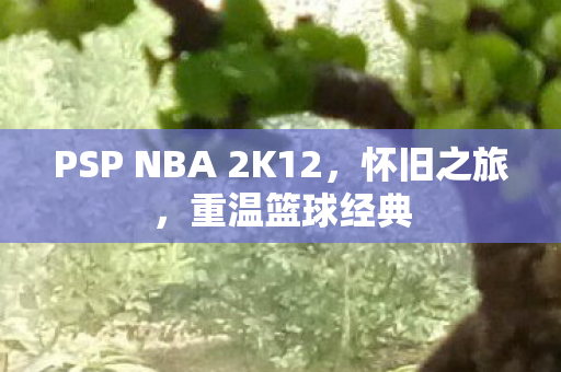 PSP NBA 2K12,怀旧之旅,重温篮球经典 PSP NBA 2K12,怀旧之旅,重温篮球经典