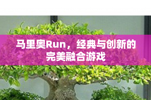 马里奥Run,经典与创新的完美融合游戏 马里奥Run,经典与创新的完美融合游戏