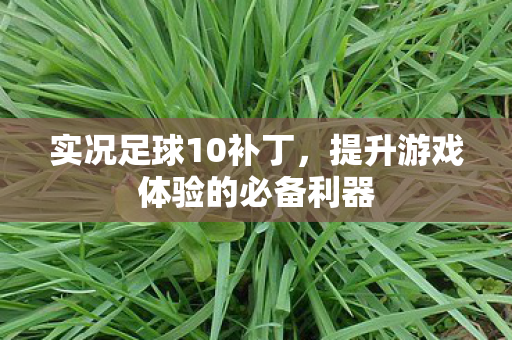 实况足球10补丁,提升游戏体验的必备利器 实况足球10补丁,提升游戏体验的必备利器