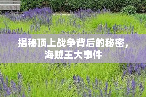揭秘顶上战争背后的秘密,海贼王大事件 揭秘顶上战争背后的秘密,海贼王大事件