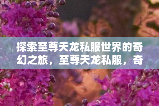 探索至尊天龙私服世界的奇幻之旅图片