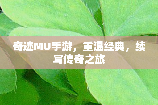 奇迹MU手游,重温经典,续写传奇之旅 奇迹MU手游,重温经典,续写传奇之旅