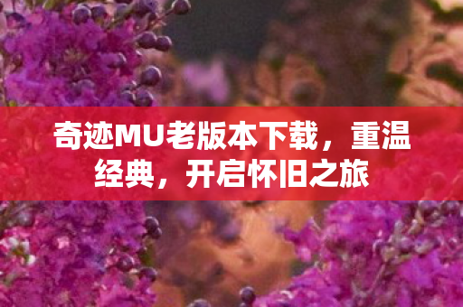 奇迹MU老版本下载,重温经典,开启怀旧之旅 奇迹MU老版本下载,重温经典,开启怀旧之旅