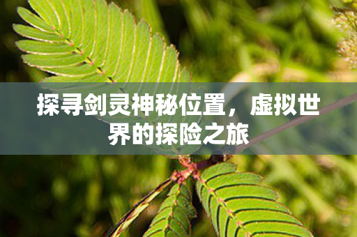虚拟世界的探险之旅图片