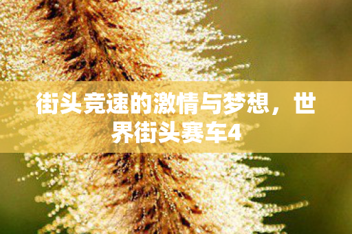 街头竞速的激情与梦想,世界街头赛车4 街头竞速的激情与梦想,世界街头赛车4