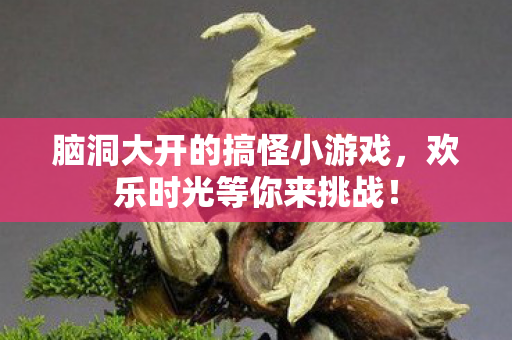 脑洞大开的搞怪小游戏,欢乐时光等你来挑战! 脑洞大开的搞怪小游戏,欢乐时光等你来挑战!