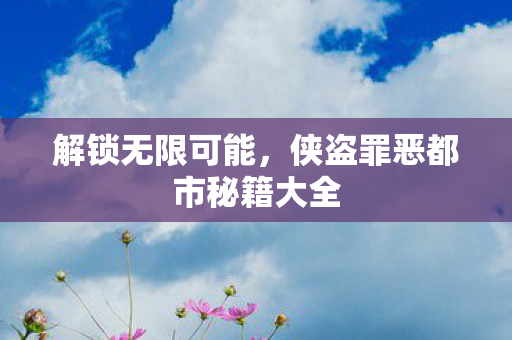 解锁无限可能，侠盗罪恶都市秘籍大全