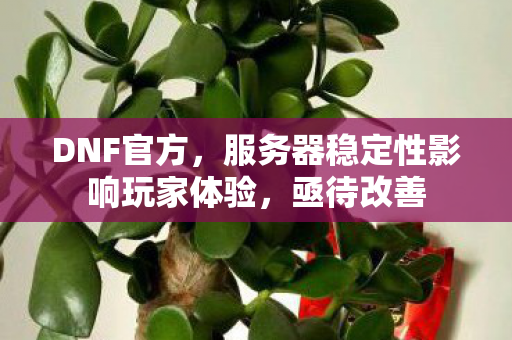 DNF官方,服务器稳定性影响玩家体验,亟待改善 DNF官方,服务器稳定性影响玩家体验,亟待改善