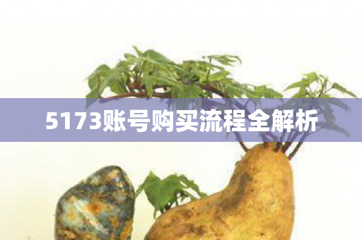 5173账号购买流程全解析 5173账号购买流程全解析