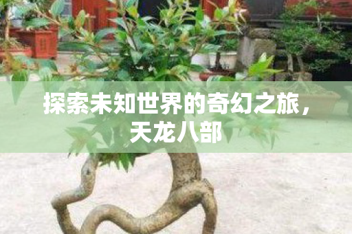 探索未知世界的奇幻之旅,天龙八部 探索未知世界的奇幻之旅,天龙八部