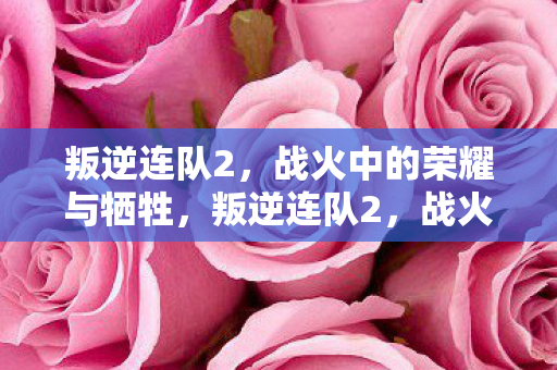 战火中的荣耀与牺牲图片