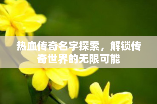 解锁传奇世界的无限可能图片