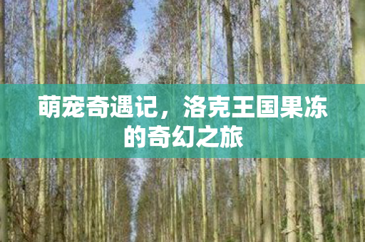 洛克王国果冻的奇幻之旅图片