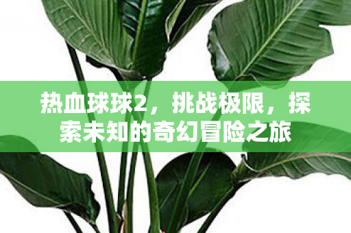 热血球球2,挑战极限,探索未知的奇幻冒险之旅 热血球球2,挑战极限,探索未知的奇幻冒险之旅