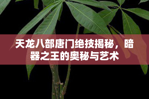 天龙八部唐门绝技揭秘图片
