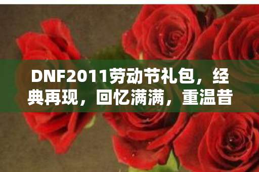 DNF2011劳动节礼包图片