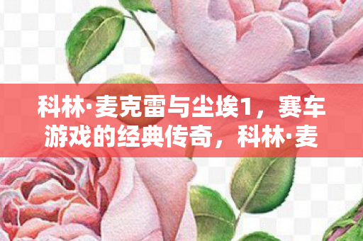 赛车游戏的经典传奇图片