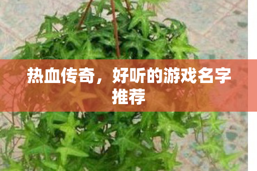 好听的游戏名字推荐图片