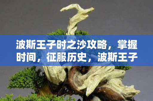 征服历史的时之沙攻略图片