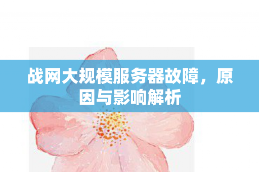 战网大规模服务器故障图片