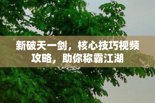 核心技巧视频攻略图片
