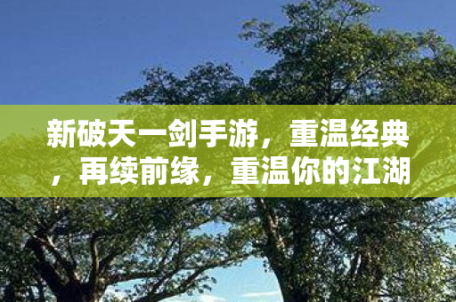新破天一剑手游图片