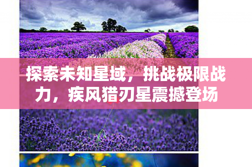 探索未知星域,挑战极限战力,疾风猎刃星震撼登场 探索未知星域,挑战极限战力,疾风猎刃星震撼登场