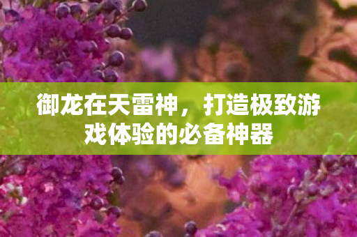 御龙在天雷神,打造极致游戏体验的必备神器 御龙在天雷神,打造极致游戏体验的必备神器