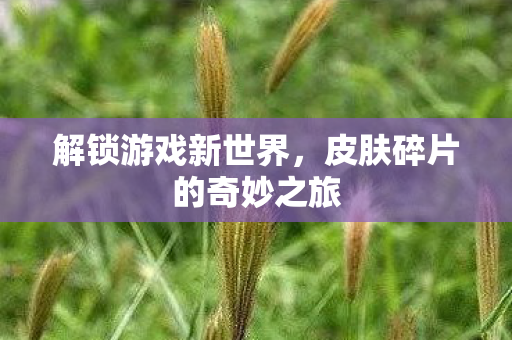 皮肤碎片的奇妙之旅图片