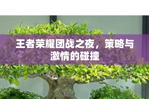 王者荣耀团战之夜图片