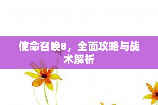 使命召唤8，全面攻略与战术解析