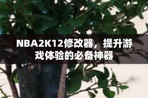 NBA2K12修改器,提升游戏体验的必备神器 NBA2K12修改器,提升游戏体验的必备神器