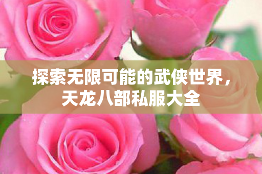 探索无限可能的武侠世界,天龙八部私服大全 探索无限可能的武侠世界,天龙八部私服大全