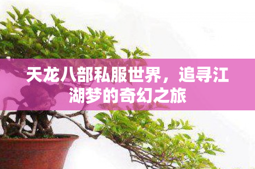天龙八部私服世界，追寻江湖梦的奇幻之旅