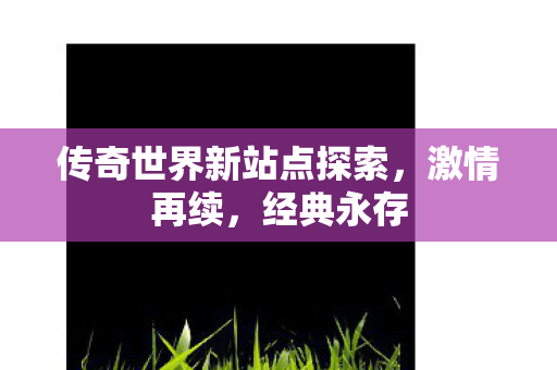 传奇世界新站点探索，激情再续，经典永存