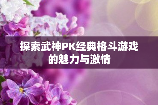探索武神PK经典格斗游戏的魅力与激情图片