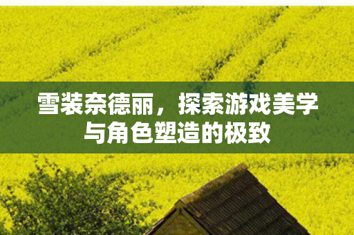 探索游戏美学与角色塑造的极致图片
