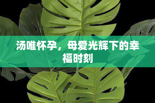 汤唯怀孕，母爱光辉下的幸福时刻