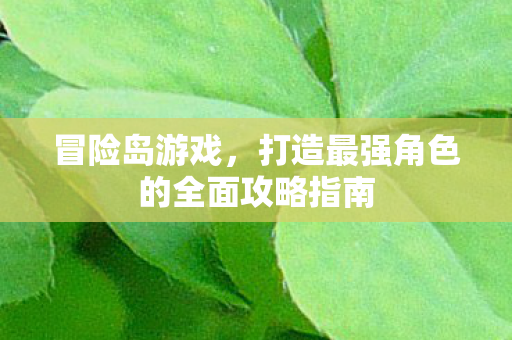 打造最强角色的全面攻略指南图片