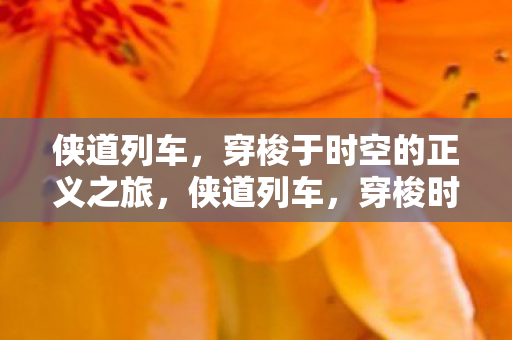 侠道列车,穿梭于时空的正义之旅,侠道列车,穿梭时空的正义之旅 侠道列车,穿梭于时空的正义之旅,侠道列车,穿梭时空的正义之旅