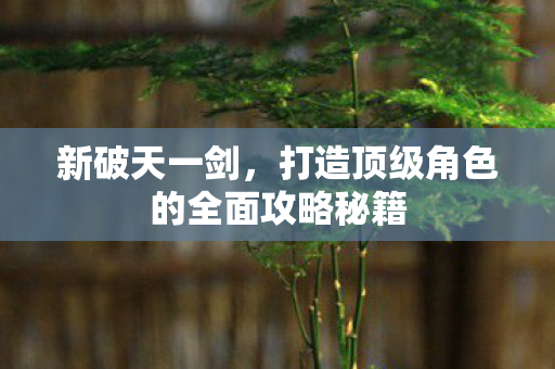 打造顶级角色的全面攻略秘籍图片