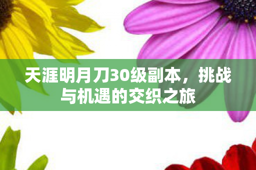 天涯明月刀30级副本图片