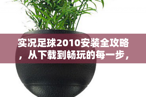 实况足球2010安装全攻略图片