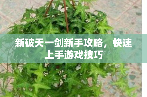 新破天一剑新手攻略图片