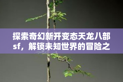 探索奇幻新开变态天龙八部sf,解锁未知世界的冒险之旅 探索奇幻新开变态天龙八部sf,解锁未知世界的冒险之旅