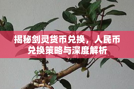 人民币兑换策略与深度解析图片