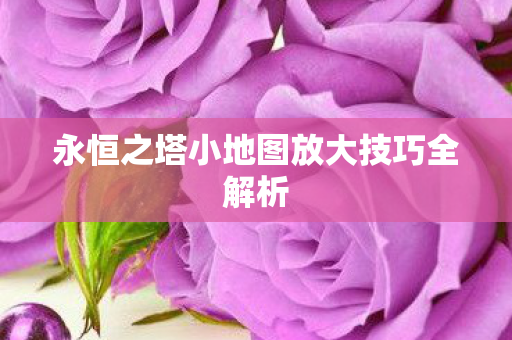 永恒之塔小地图放大技巧全解析图片