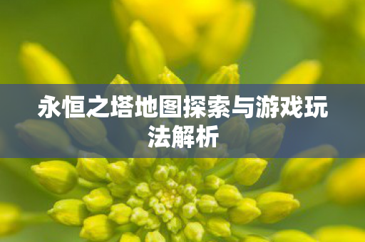 永恒之塔地图探索与游戏玩法解析图片